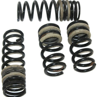 2009-2016 Nissan GTR Front & Rear Coil Spring