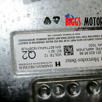 2006-2008 Mercedes Benz W251 ML500 Radio Audio Amplifier A 251 820 95 89 - BIGGSMOTORING.COM